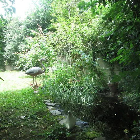 Jungle *